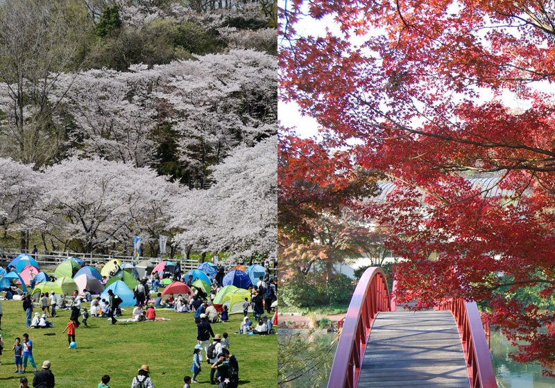 🌳 어린이의 나라(코도모노쿠니) 이미지 8